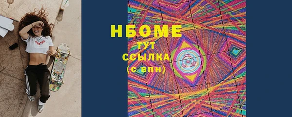 индика Богородск
