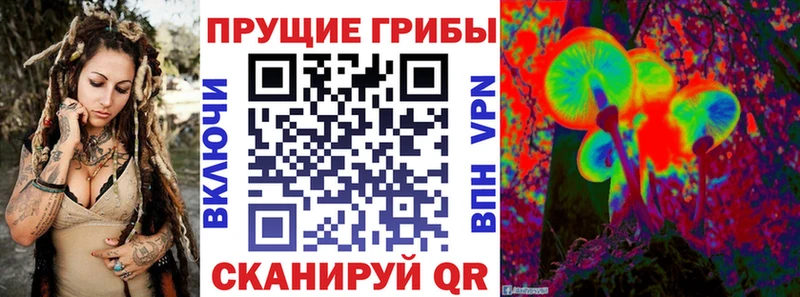 наркошоп Цивильск Псилоцибиновые грибы GOLDEN TEACHER