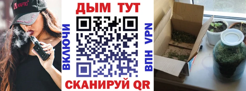 mega ссылки  это состав  Бошки марихуана THC 21%  где купить наркоту  Цивильск 